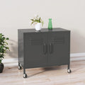 Verstellbare Ablagen praegen das Sideboard aus Metall